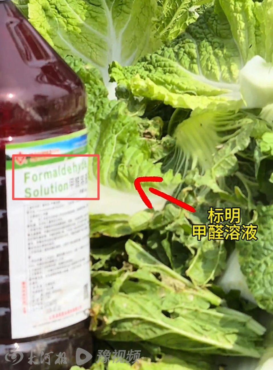 河北一地现甲醛泡白菜，装车运往外地，当地政府回应正紧急追溯流向，具体情况如何？甲醛溶液可能起什么作用？