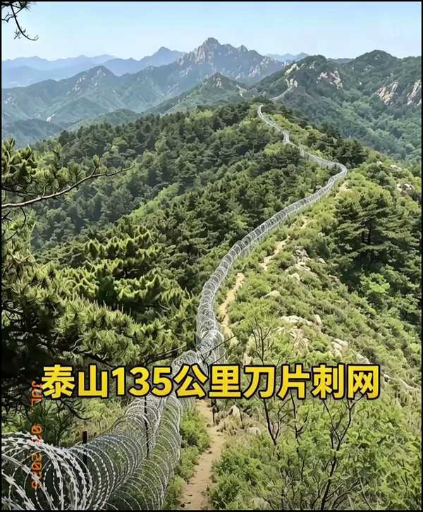 泰山景区斥资 2500 余万建 135 公里刀片网引众怒，暴露出哪些深层管理问题？