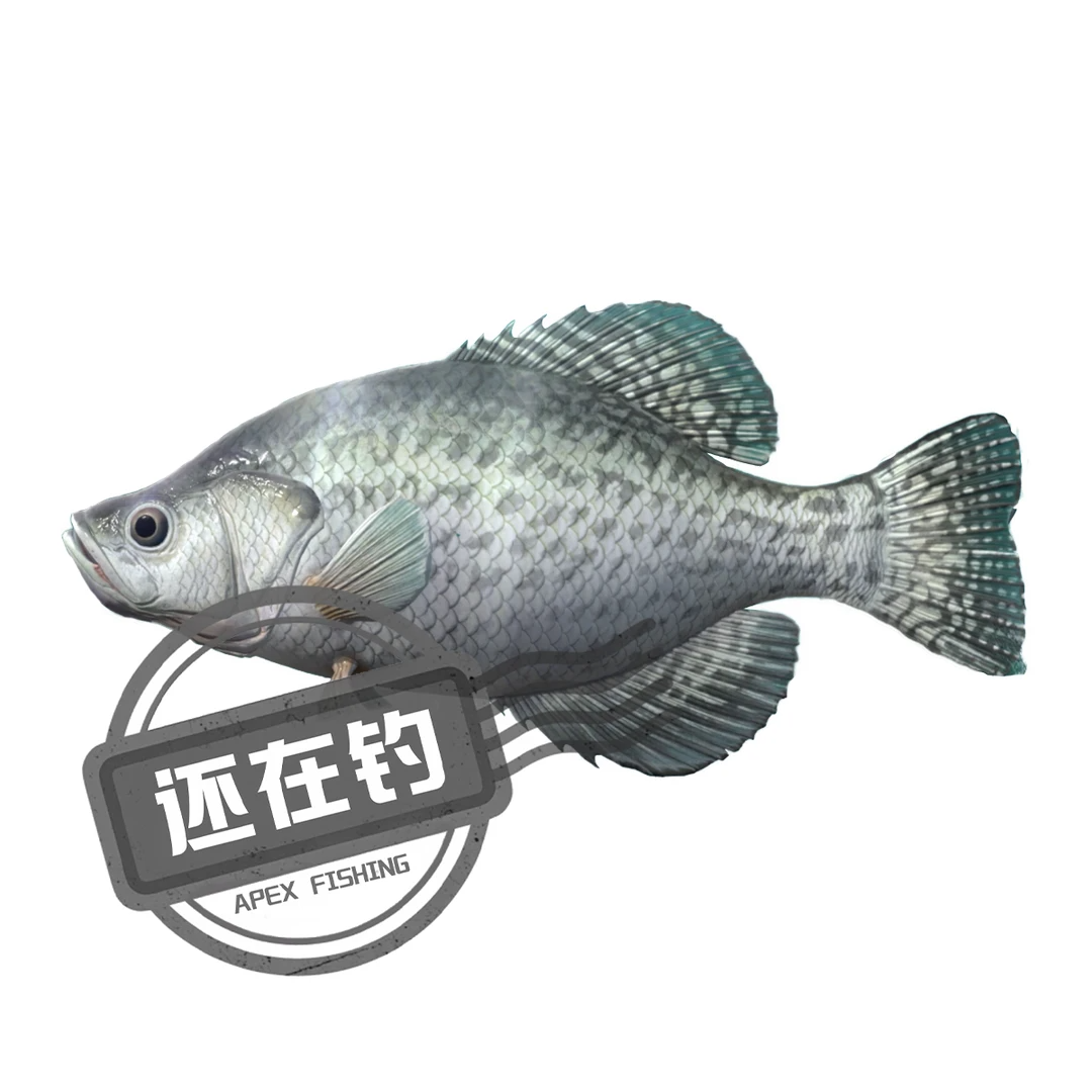 钓鱼佬最接受不了什么？