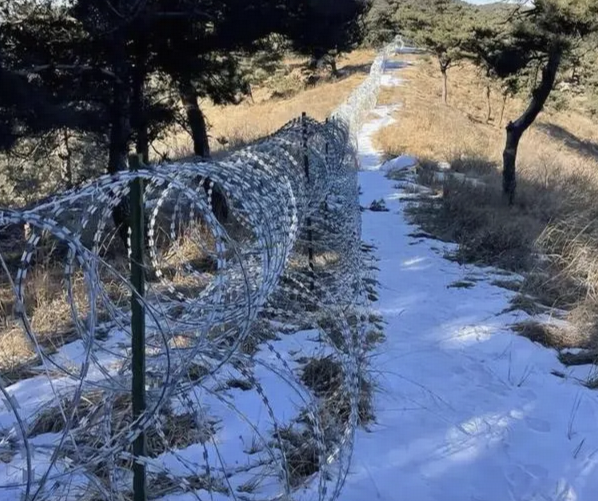 泰山景区建 135 公里刀片刺绳隔离网，出于哪些考虑？为何争议这么大？这会对当地生态造成影响吗？