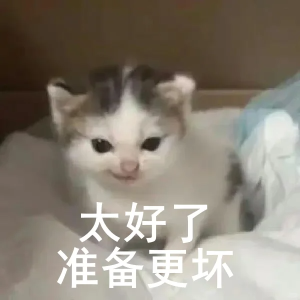 有一百只猫不要命地对你发动进攻，而你有一把武士刀防身，你能否活下来？