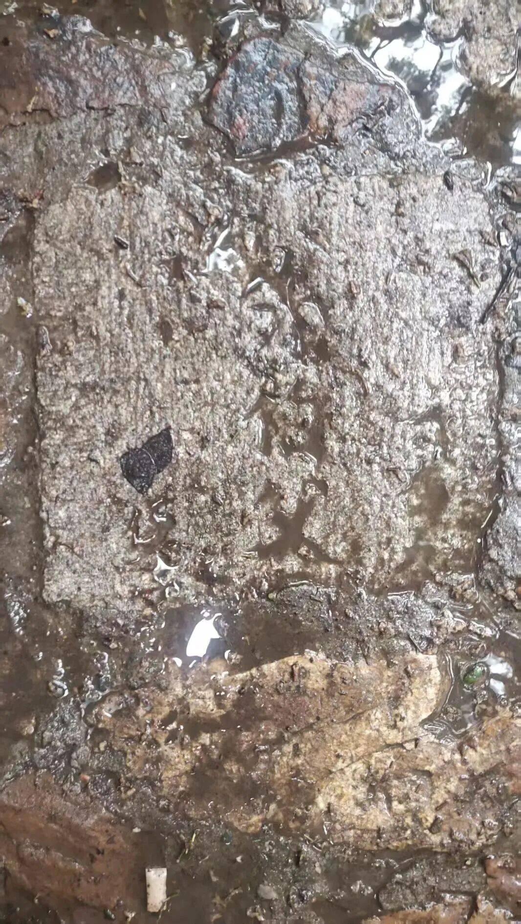 江苏一公园就地取材，用无主墓碑铺登山路，碑面刻有「先父」「贤妻」等字样，这会对游客带来不良心理影响吗？