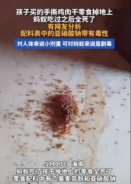 小孩吃的手撕肉干掉地上，蚂蚁吃了后全中毒死亡，是摆拍吗？配料表里的亚硝酸钠是元凶吗？