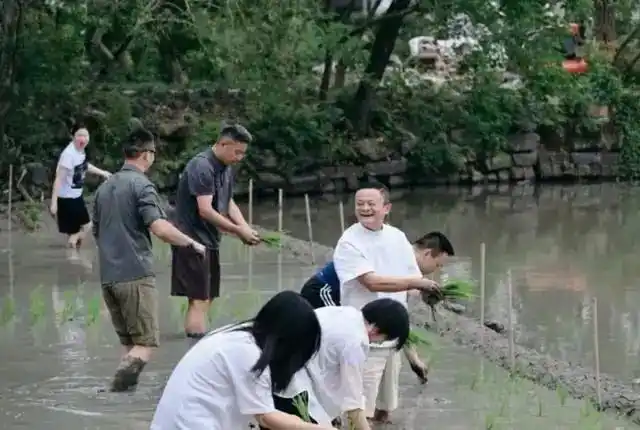 「置身 X 内」为什么批量出现？大厂都存在类似的「大厂病」吗？