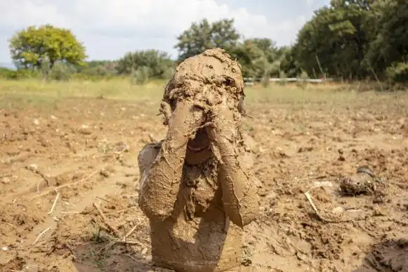 为什么说小男孩是地球上最难养的生物？