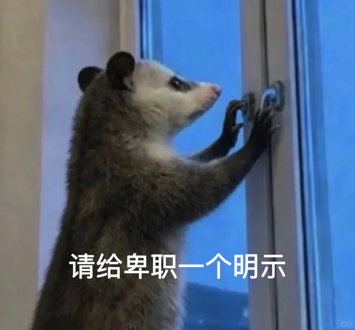 为什么现在很多公司宁愿花双倍的价钱招新人，也不愿意给立下汗马功劳的老员工大幅度涨薪？