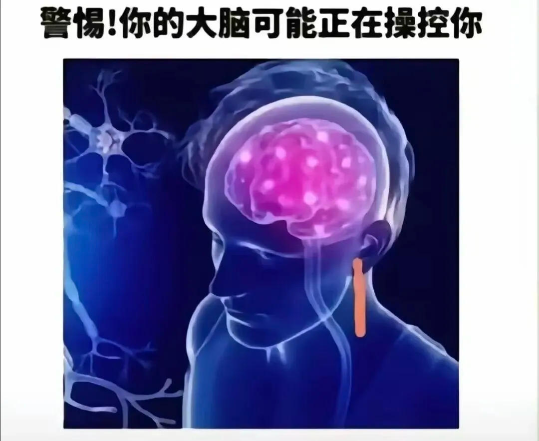 智商越高的人，什么特征越明显？