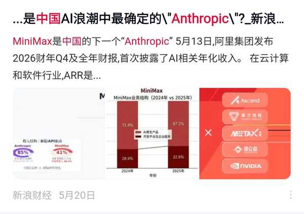Minimax 这家公司股价持续暴跌的原因是什么？