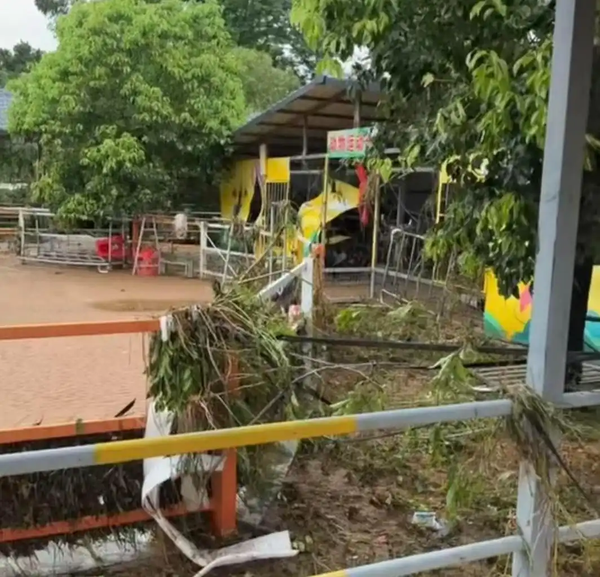 广西一动物园灾前将猛兽区锁死致三只狮子溺亡，如何看待这一做法？这类紧急情况动物园应有哪些科学应急措施？