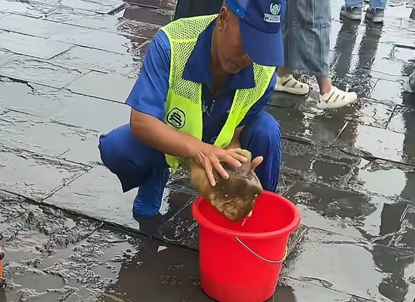 天坛保洁雨中用海绵吸水打扫地面，工作人员回复称保护古代金砖，金砖为啥如此特殊？有什么更好的办法清洁吗？
