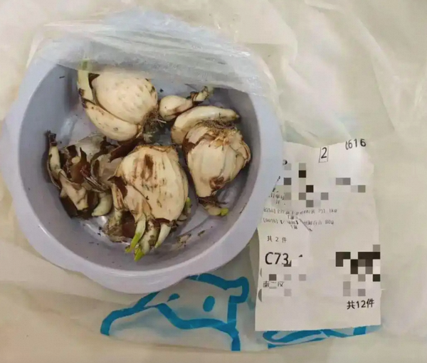 如何看待盒马误将水仙当百合配送致顾客中毒，最终被判「责令改正，罚款 198 元」一事？
