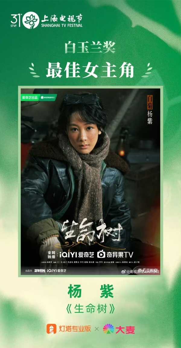 于和伟二封视帝，杨紫首获白玉兰视后，《太平年》获最佳电视剧，如何评价 2026 白玉兰奖荣誉名单？