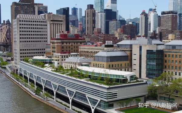 富豪们已拥有了巨额财富，却还在努力挣钱，他们追求的是什么啊？
