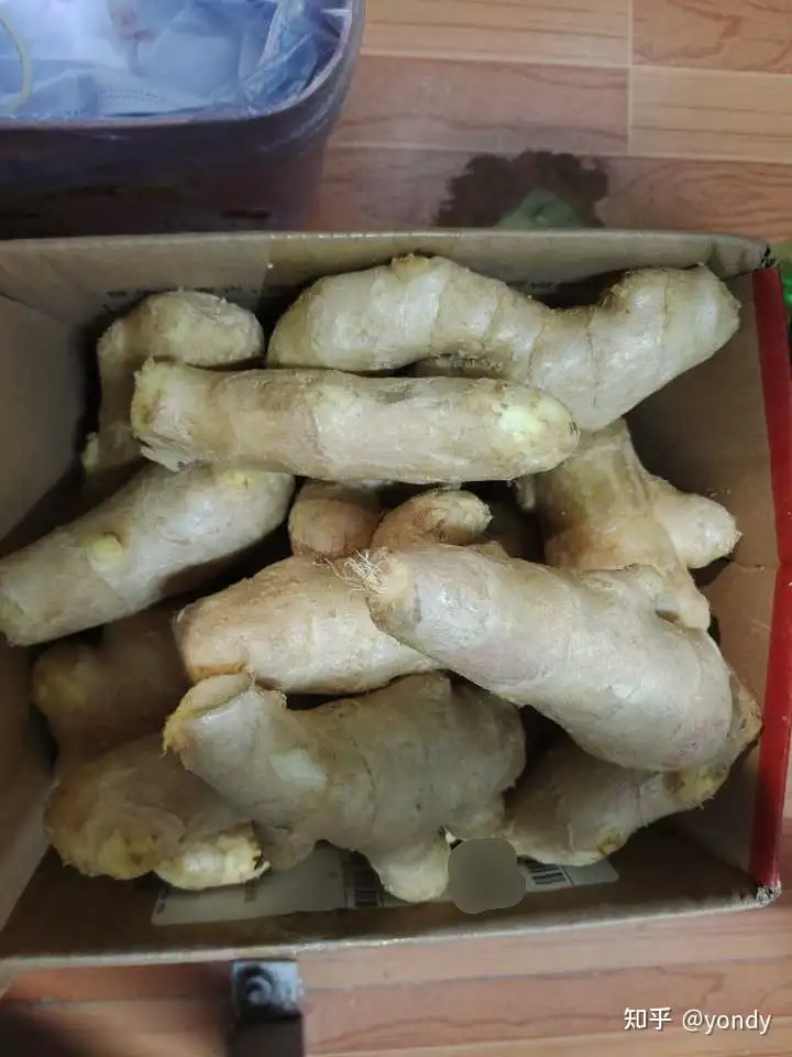 儿子就算饿死也不吃有生姜的抄手，我该怎么办？